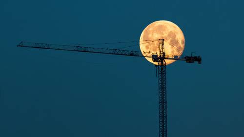 Night Sky Series: Full moon and crane
