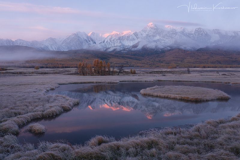 The Silence фото превью