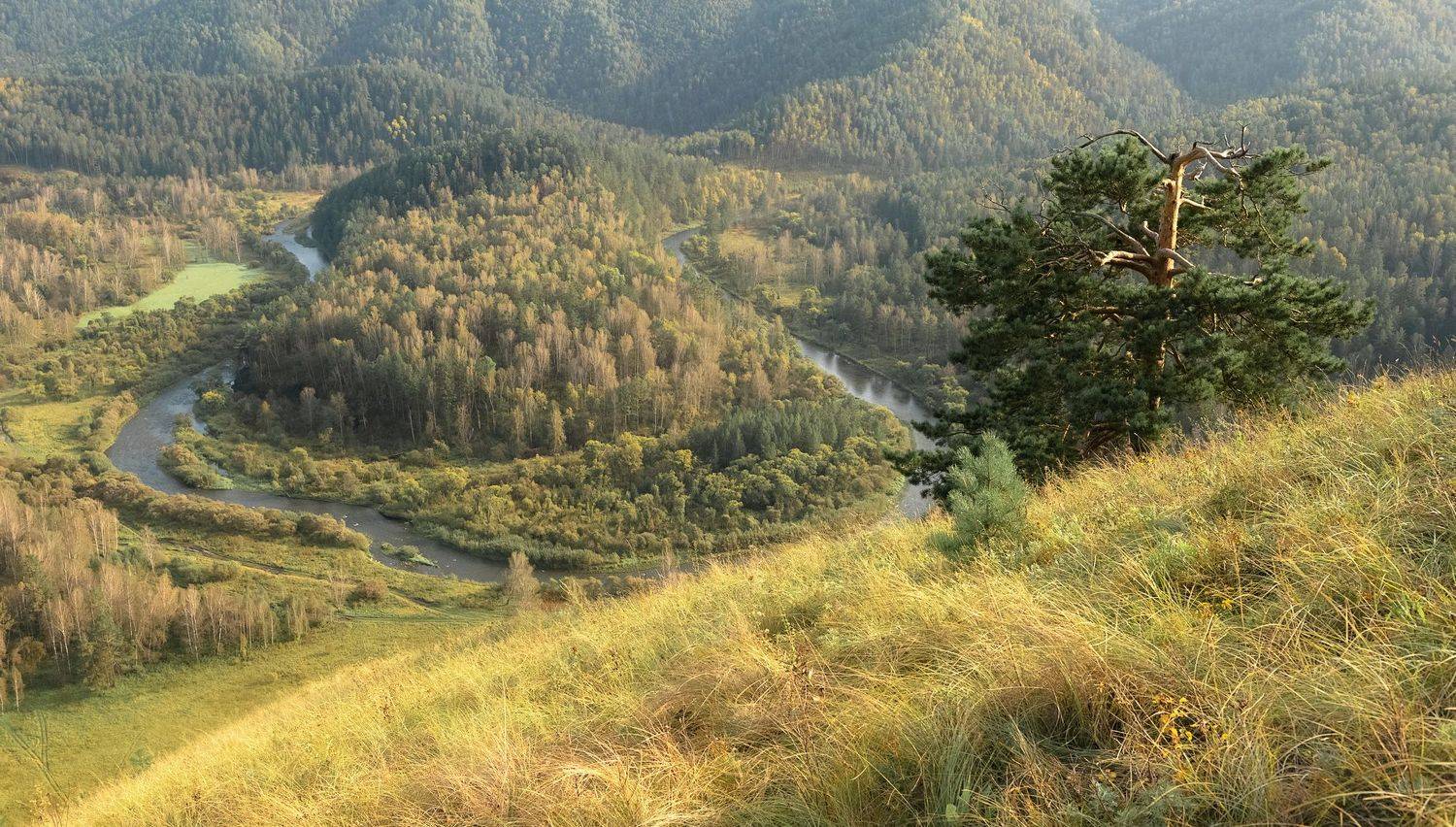 сибирь, есауловская петля., Марина Фомина