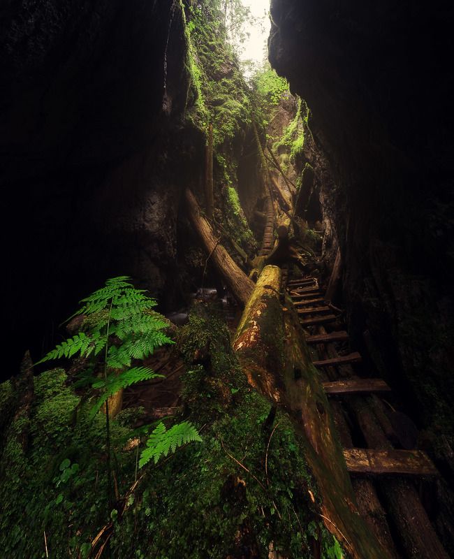 Slovakia paradise  фото превью