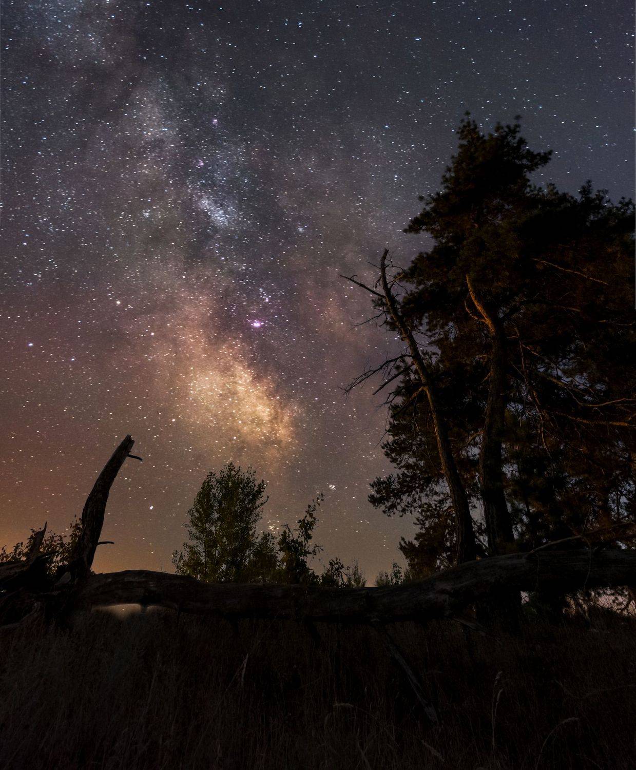 млечный путь, ночь, звёзды, Александр Литвишко