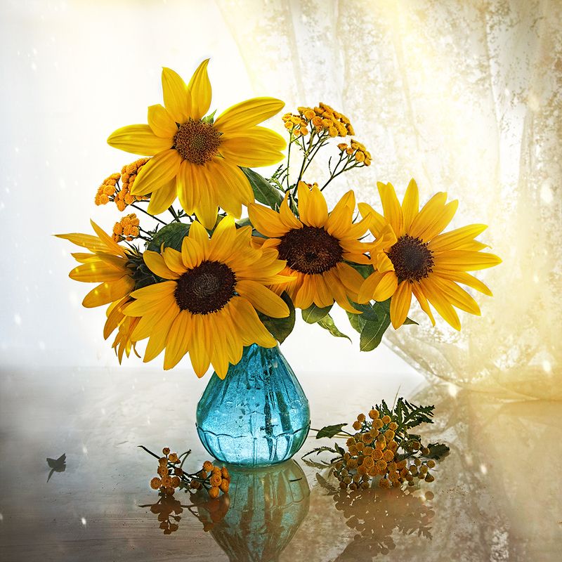 Подсолнух Подсолнух - маленькое солнце. фото превью