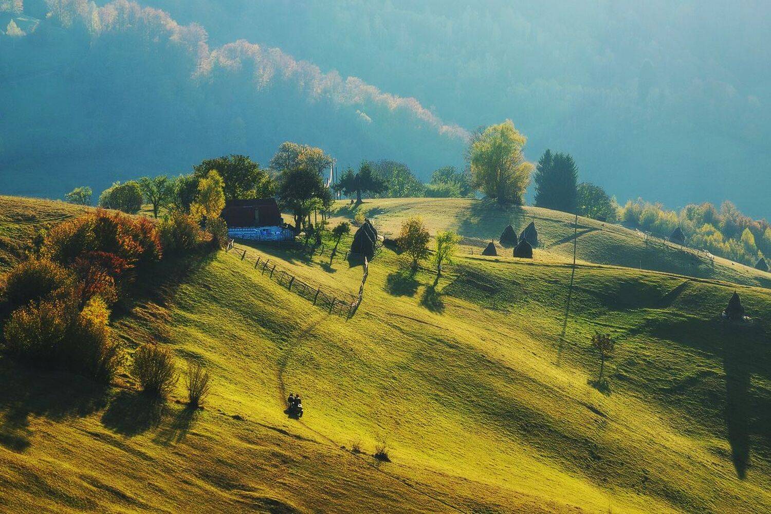 , Stefan Chirobocea