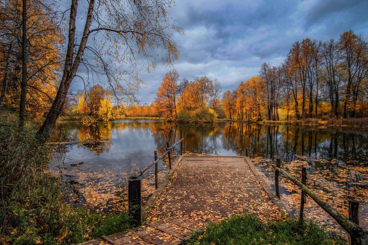 , Екатерина