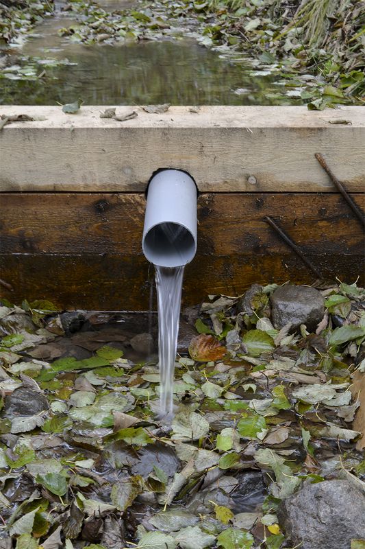 Лесной родник фото превью