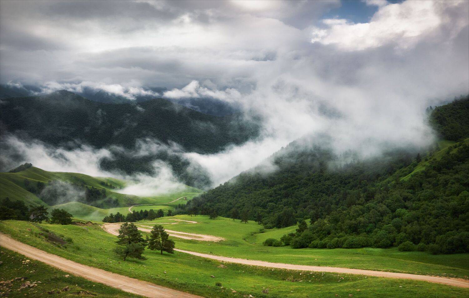 , Алексей Богорянов