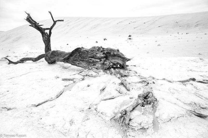 Desert фото превью