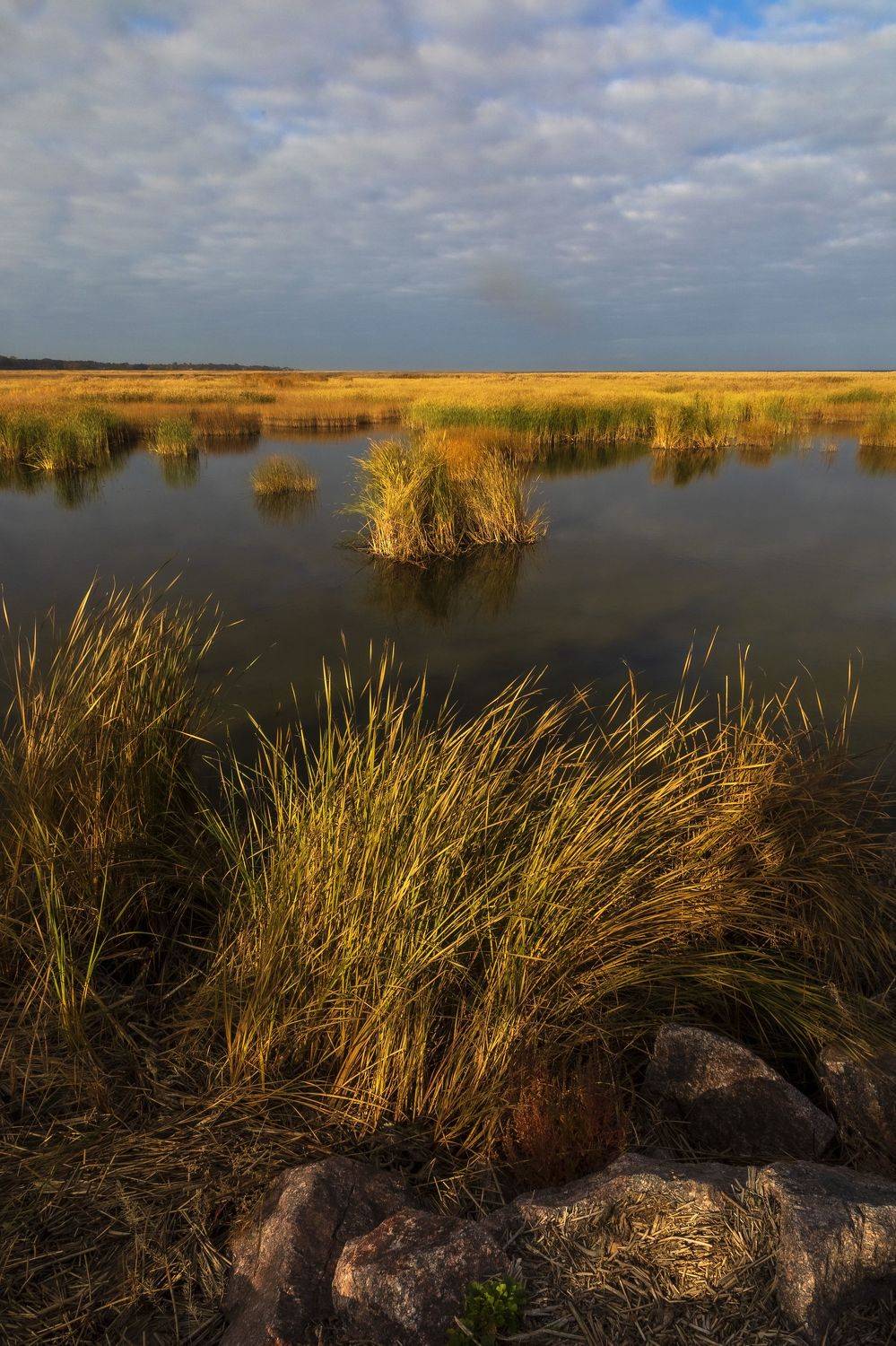 пейзаж, берег, вода, утро, осень, Александр Игнатьев