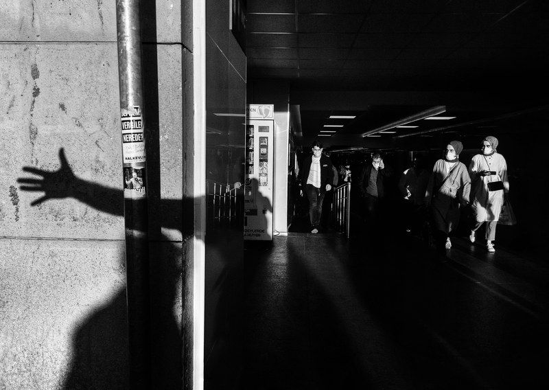 Look Here фото превью