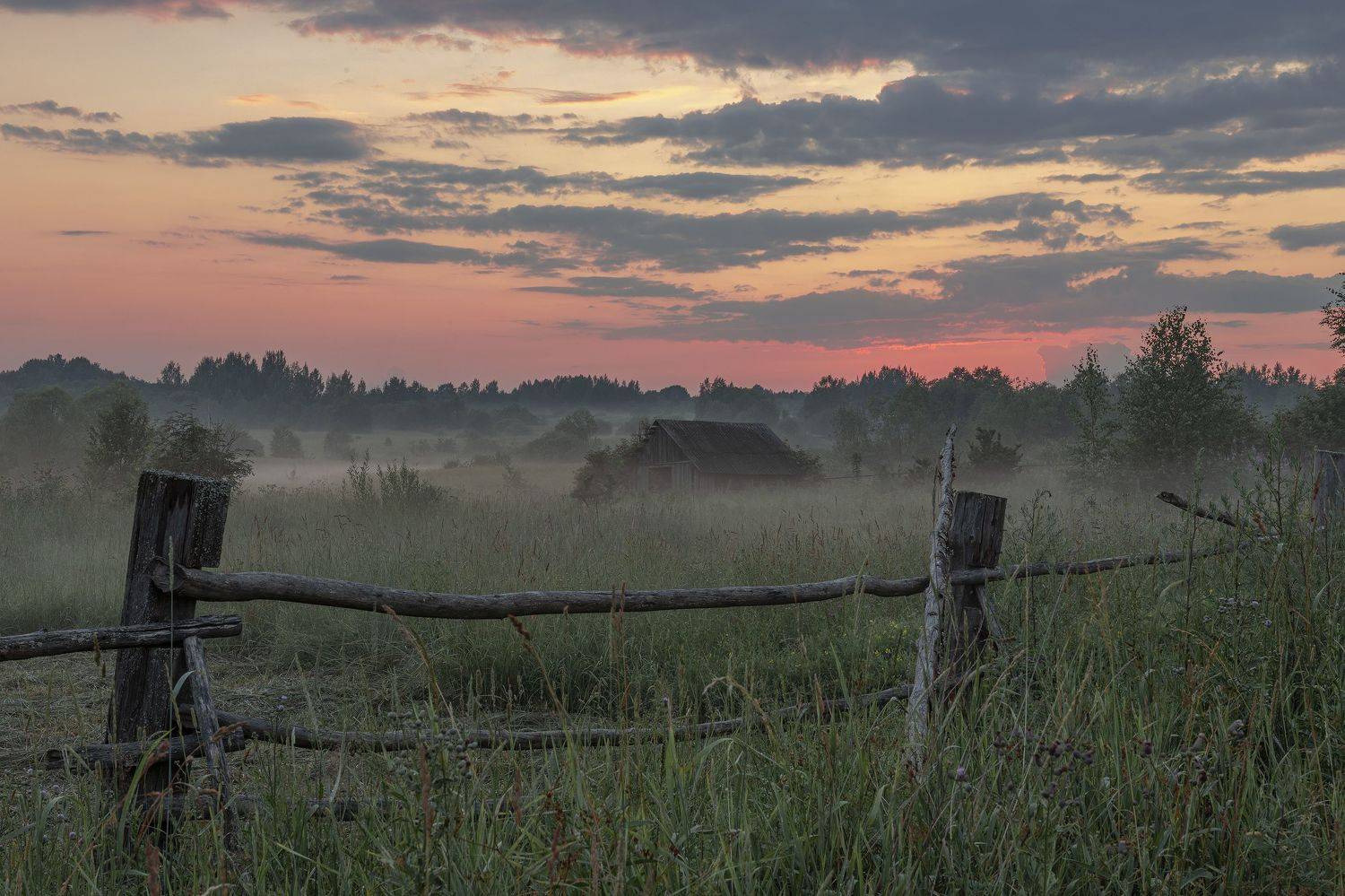 , Елена Гусева