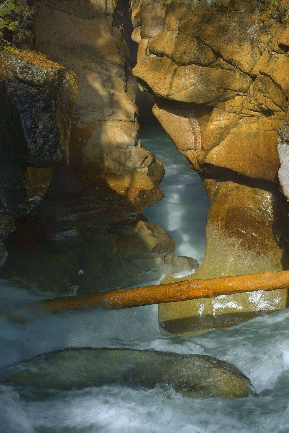 , Александр Жарников