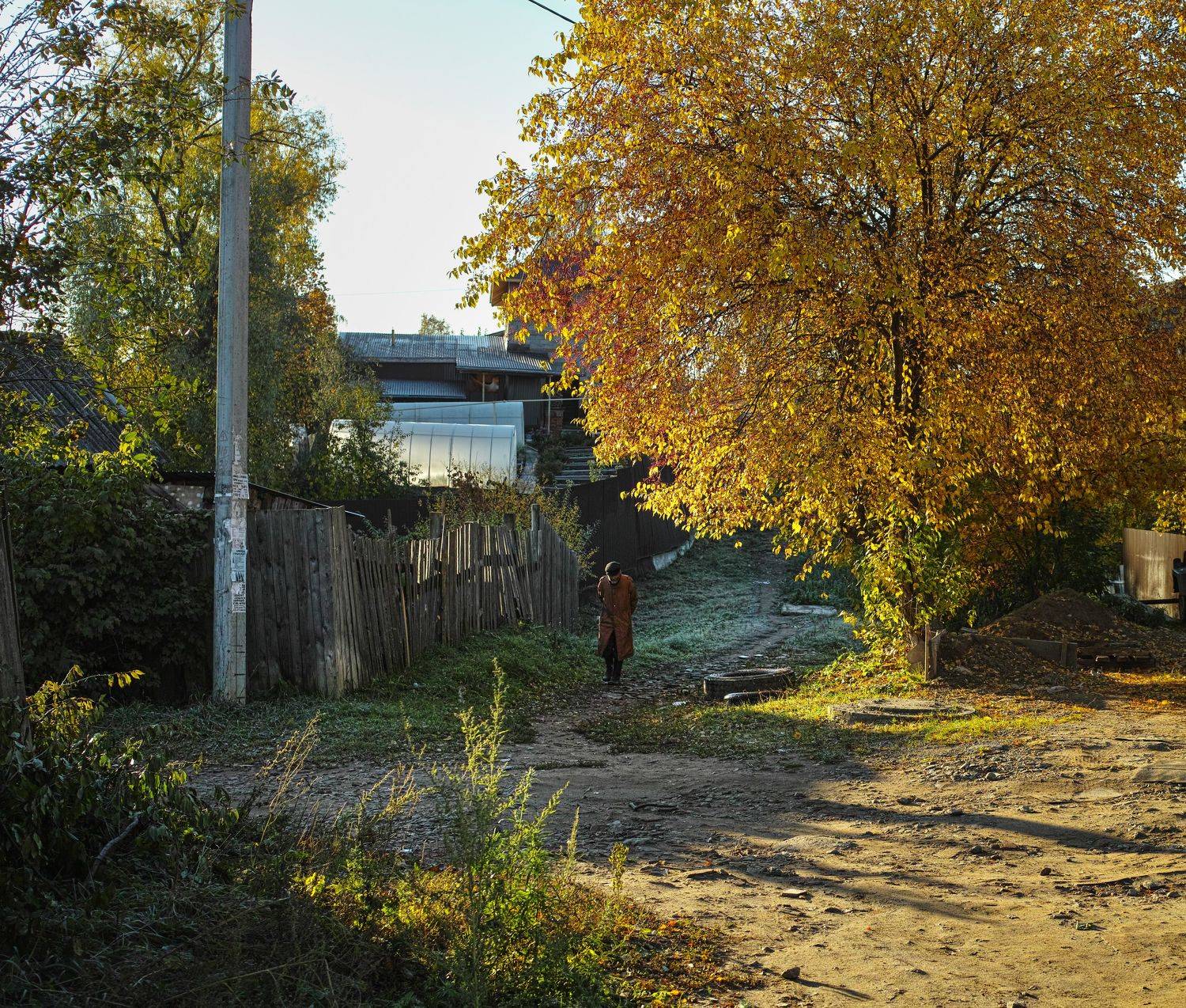 , Лариса Лофицкая