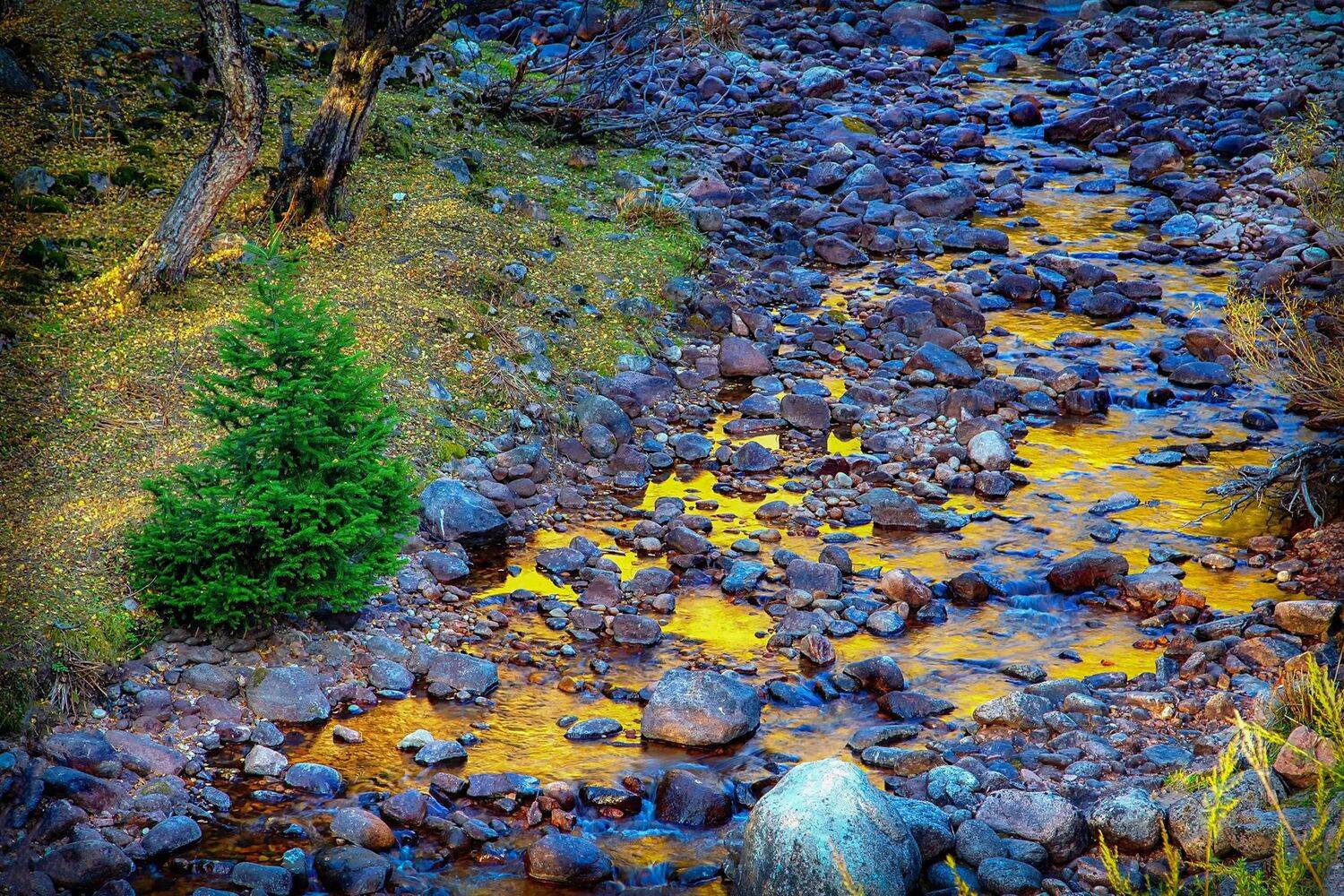 кыргызстан, горы, Элина Магалимова