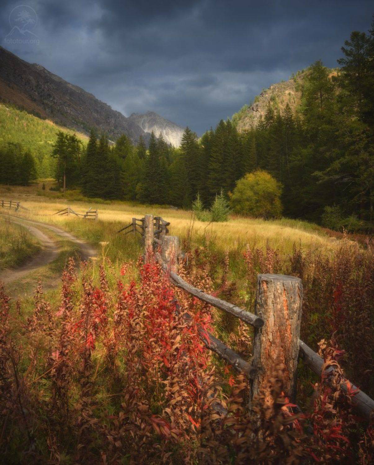 алтай, осень, горы, карагем, Анатолий Гордиенко