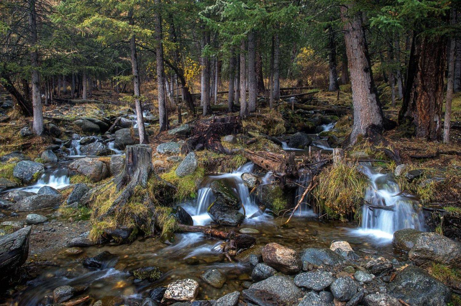 , Толмачев Дмитрий
