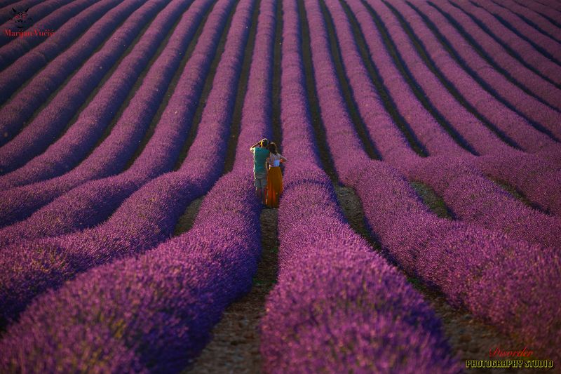 Provansa фото превью