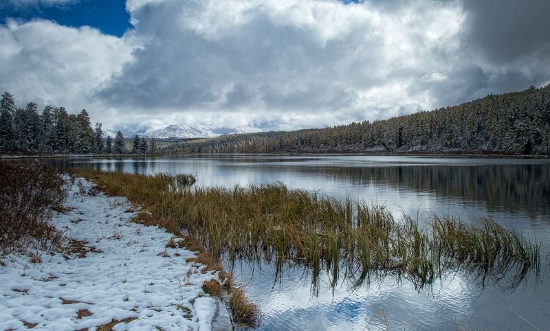 Киделю однако... фото превью