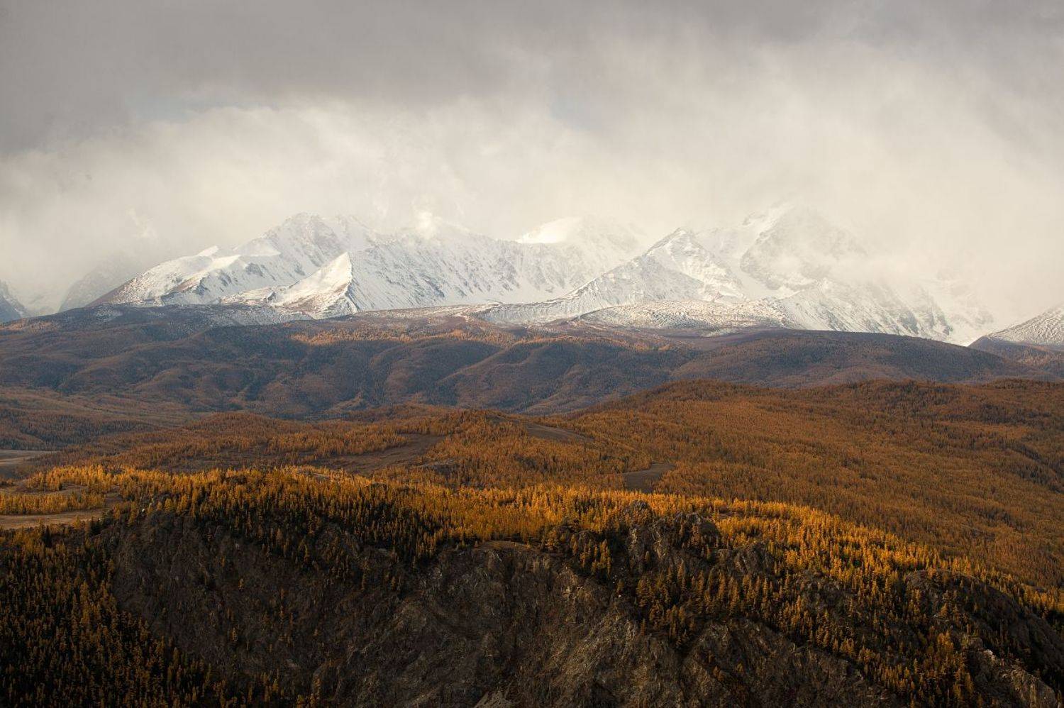 , Толмачев Дмитрий