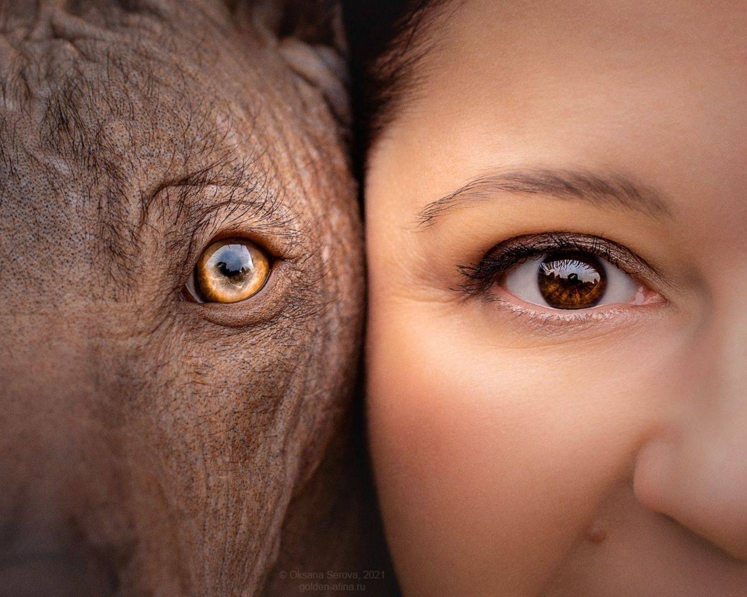 , Оксана Серова