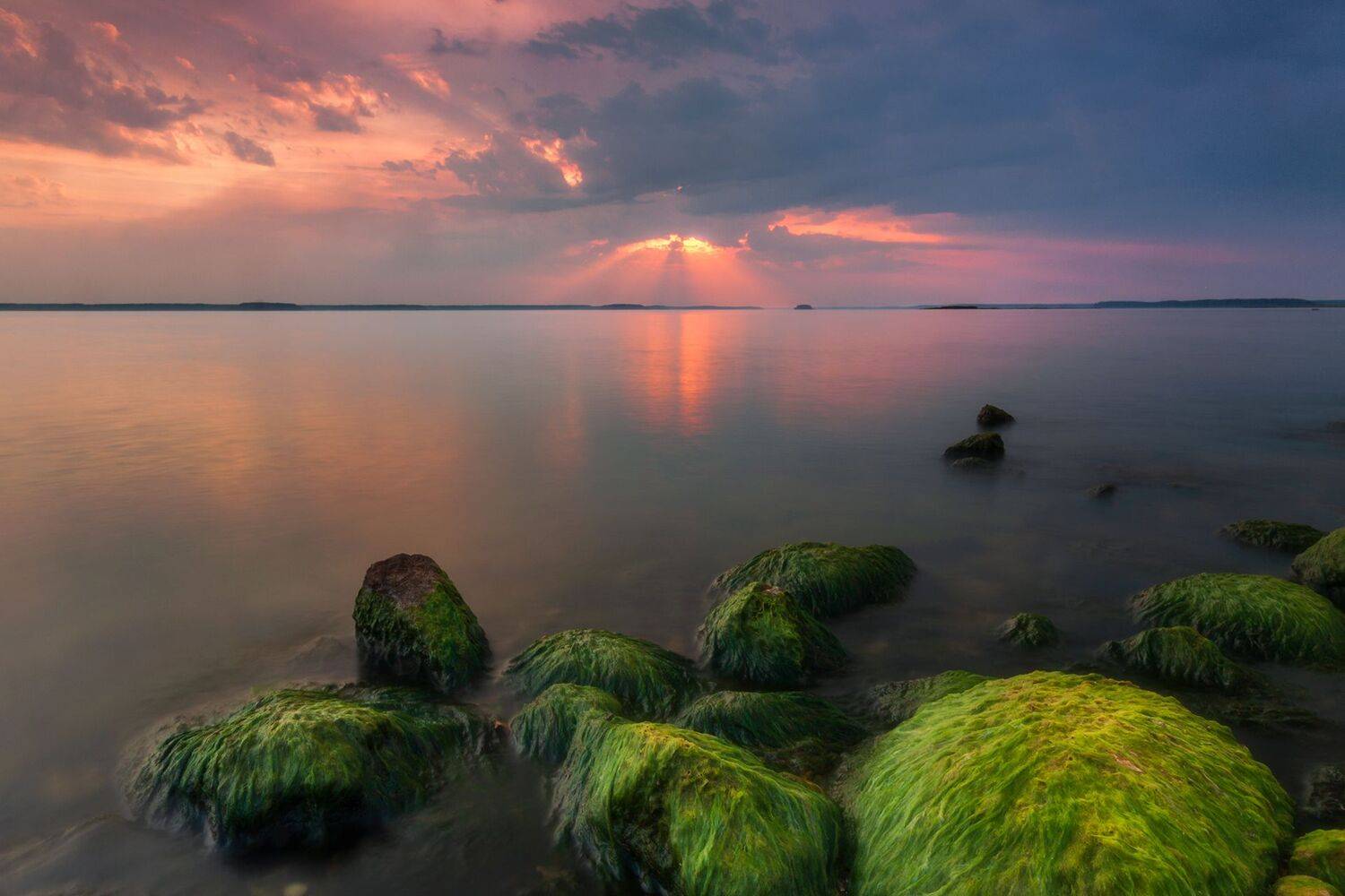 , М.Еремеев