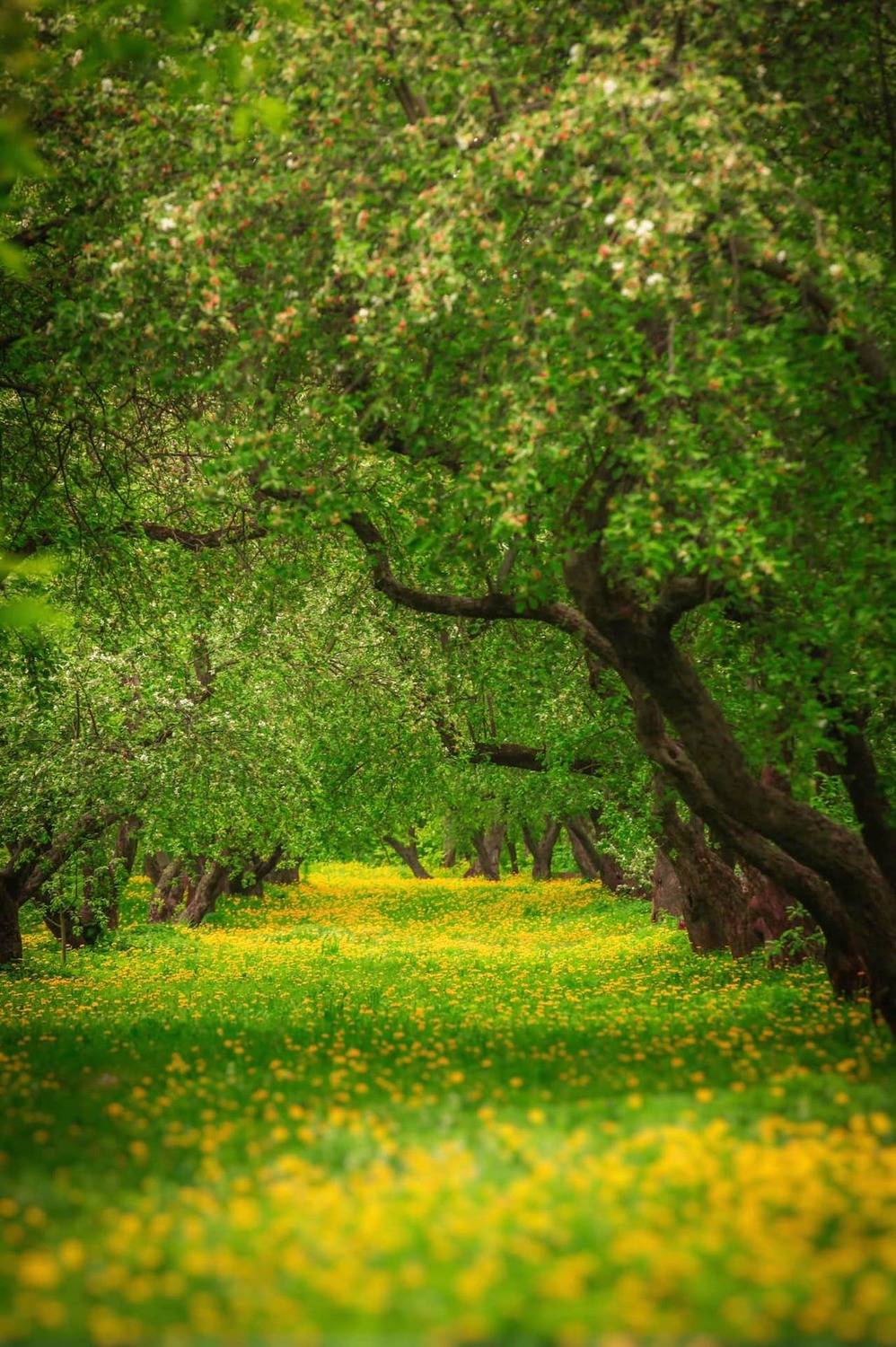 пейзаж, природа, nature, landscape, Julia Kaissa