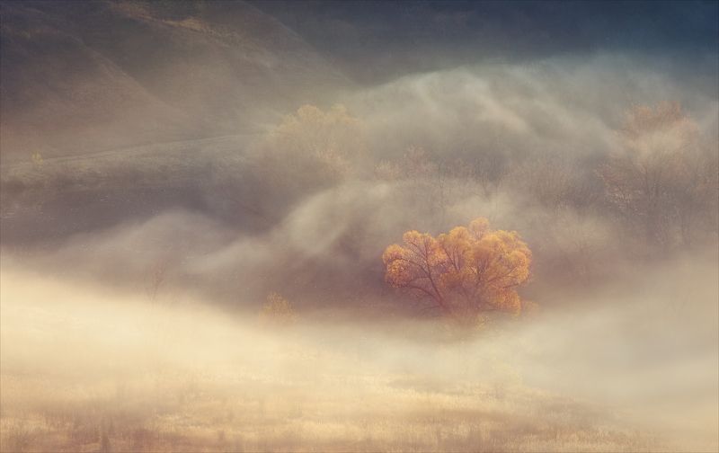 Осенние сны. фото превью