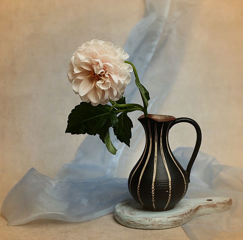 z dalią фото превью