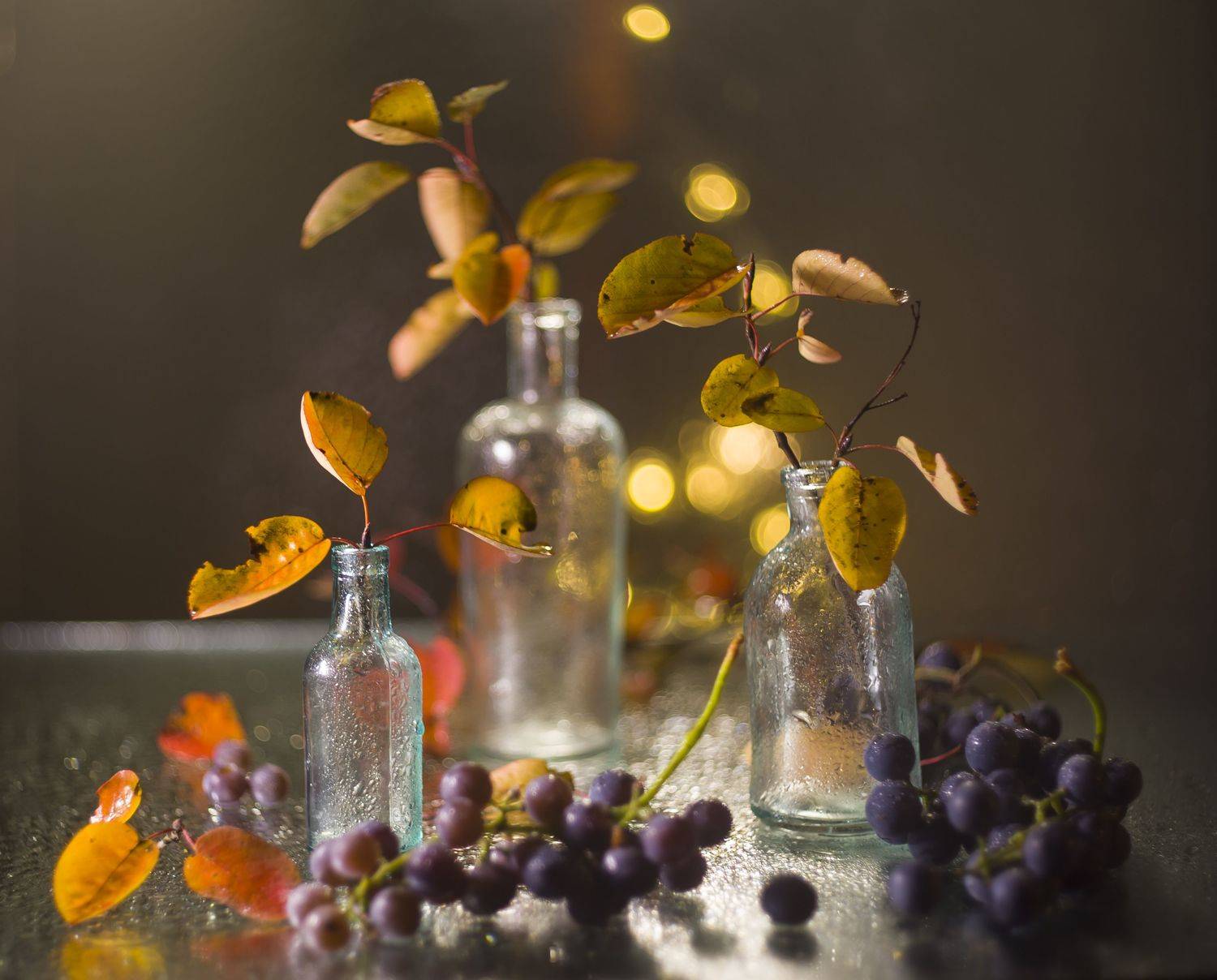 , Оксана Евкодимова