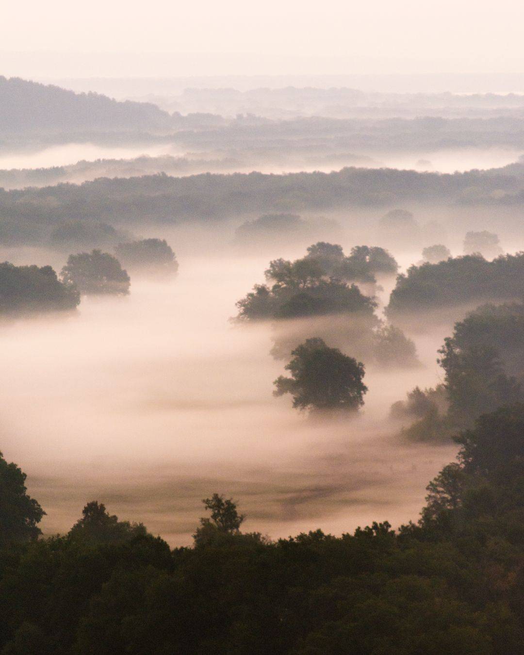 , Алексей Проняхин