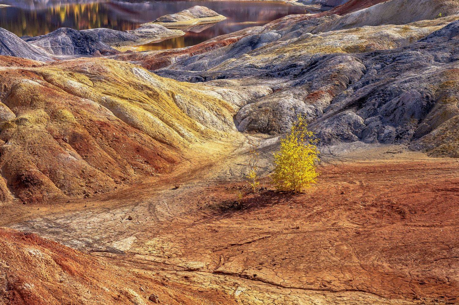 , Андрей Шарапов