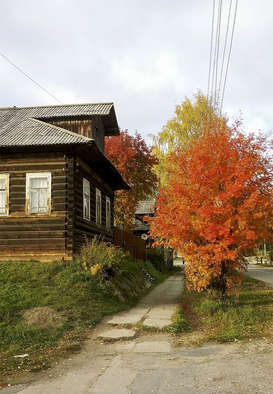 В городе Онега - красавица осень. фото превью