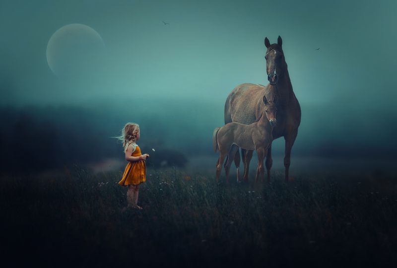 поле, туман, девочка, лошади На рассвете... фото превью
