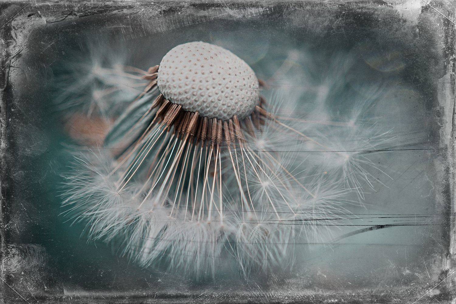 ,  Светослав Радков