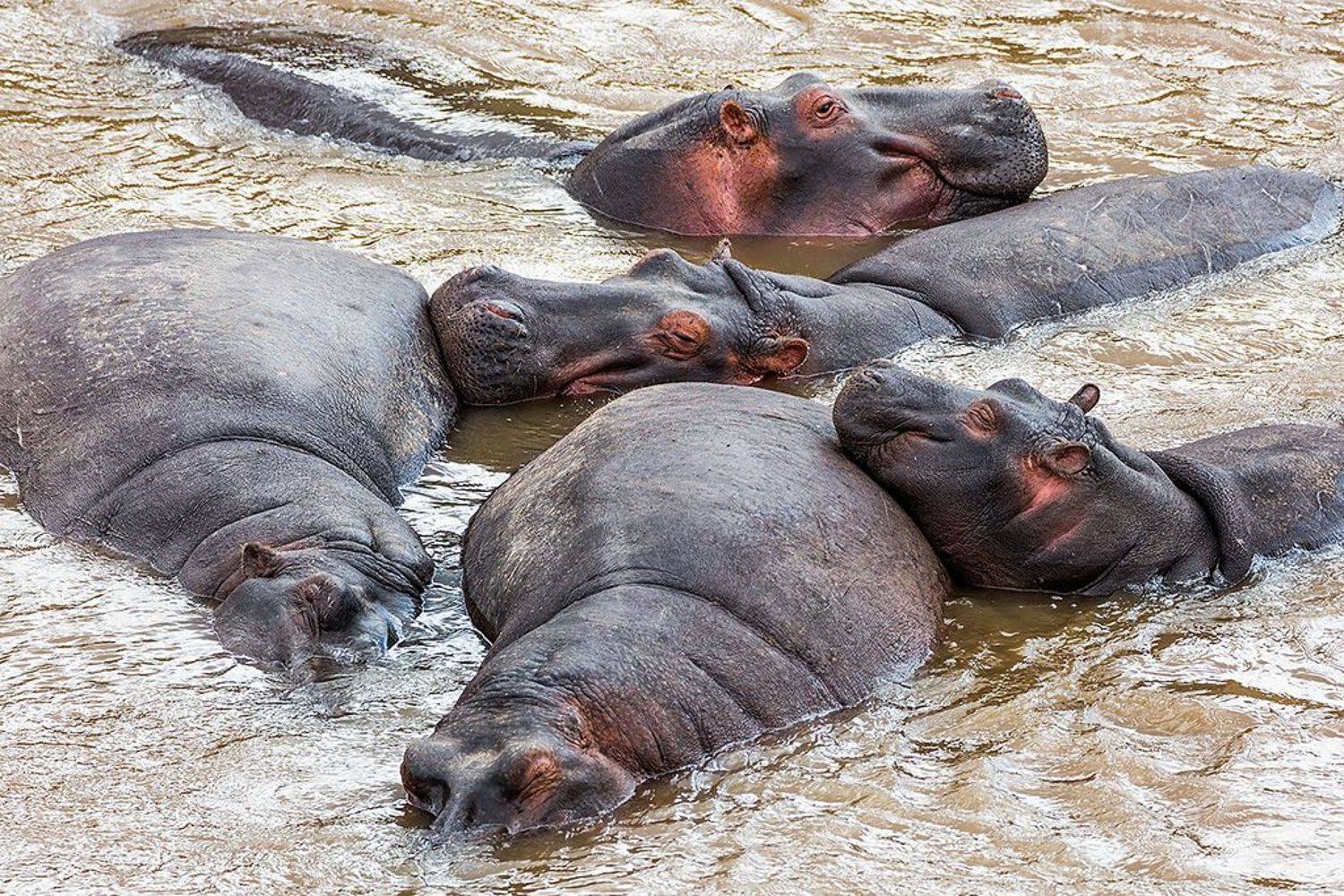 , Сергей Савви