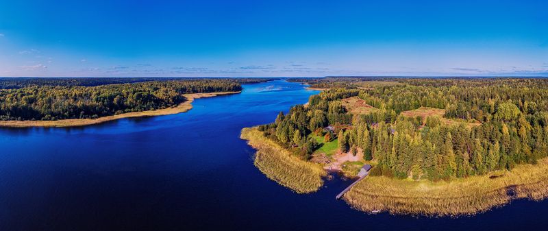 Сентябрь ушёл,забрав свой  блеск и тишину. фото превью