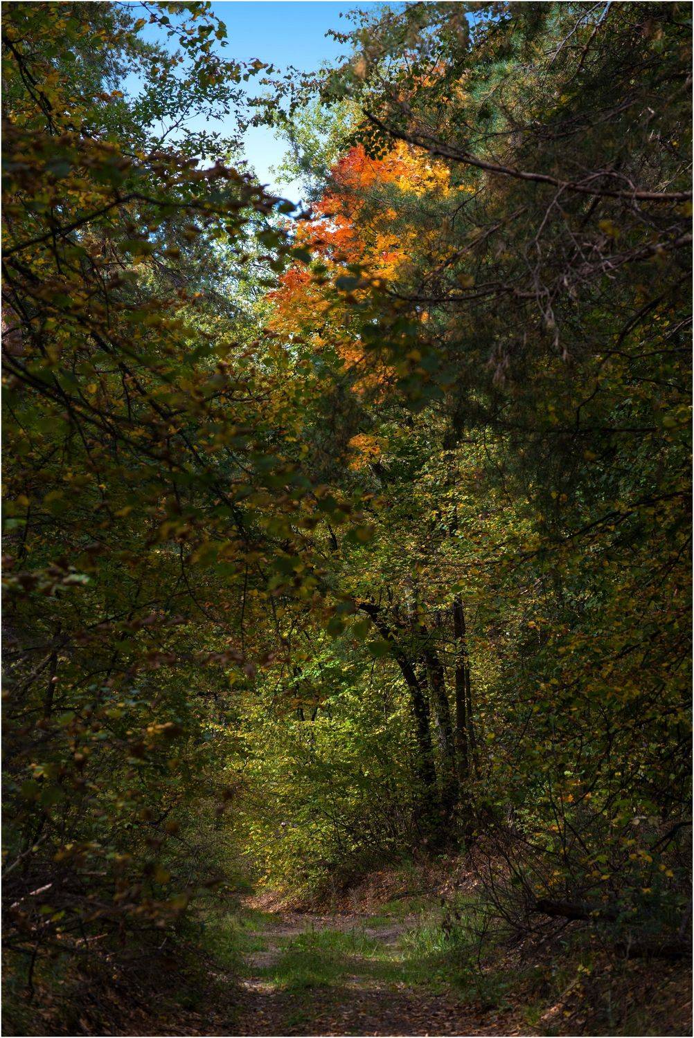 , Владимир Краснов