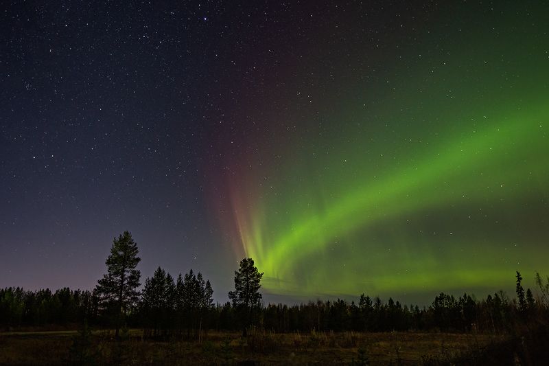 aurora.севрное сияние,коми,печора,сс,осень,ночь, Aurora Borealis над Печорой фото превью
