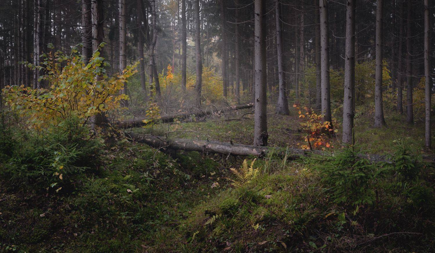 , Баранов Олег