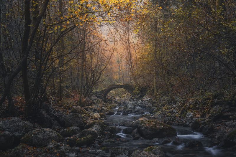 Tales From the Wilderness фото превью