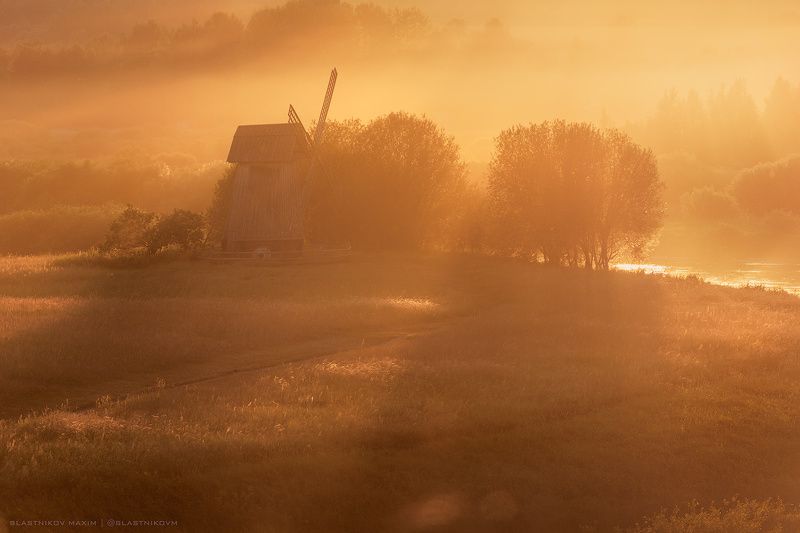 Туманное золото фото превью