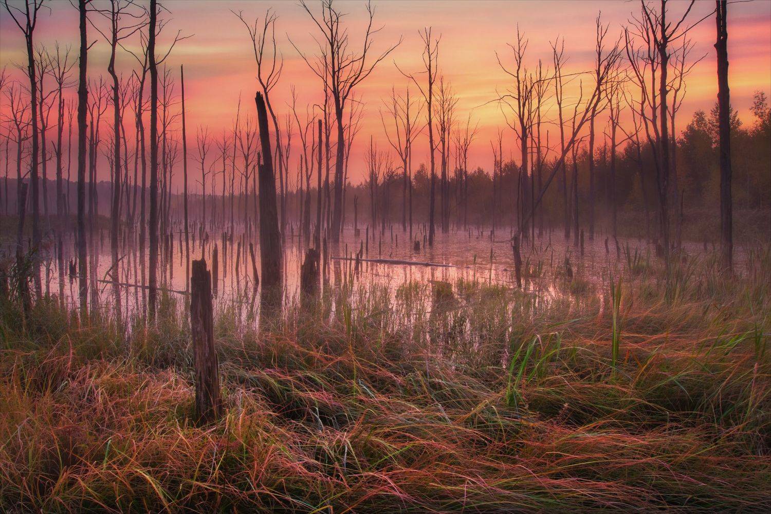 , Алексей Богорянов