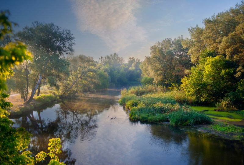 лето, река, берег,пейзаж Пейзаж как состояние души ... фото превью