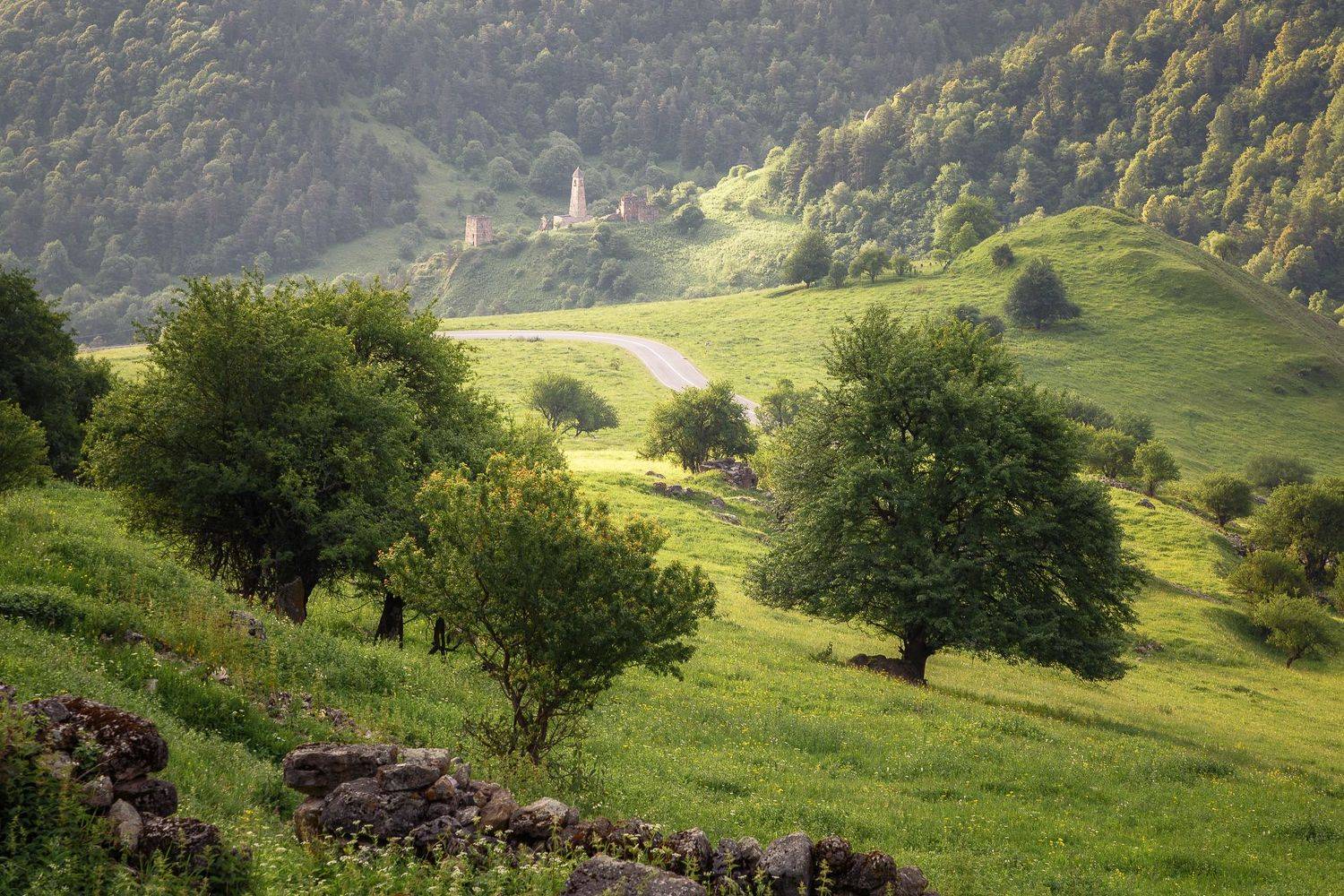 кавказ, ингушетия, Александр Писарев