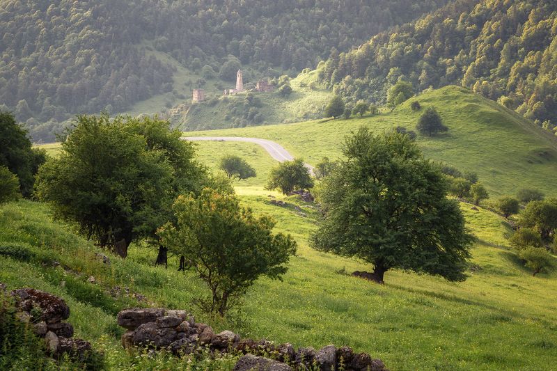 кавказ, ингушетия Утром в Ингушетии фото превью
