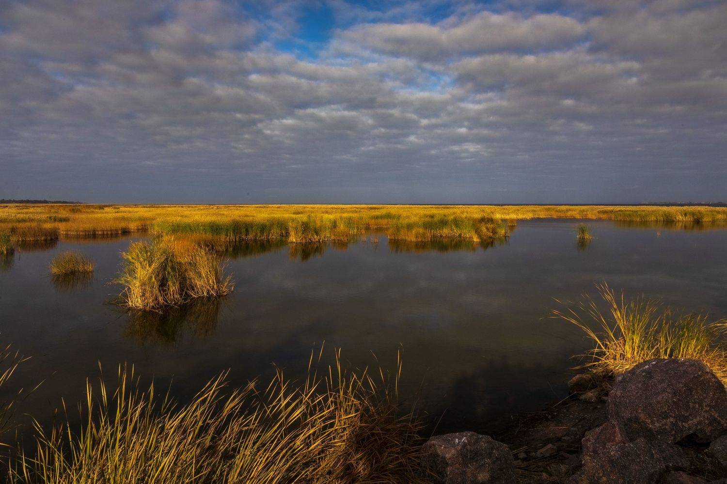 пейзаж, берег, вода, утро, осень, залив, камыш, Александр Игнатьев
