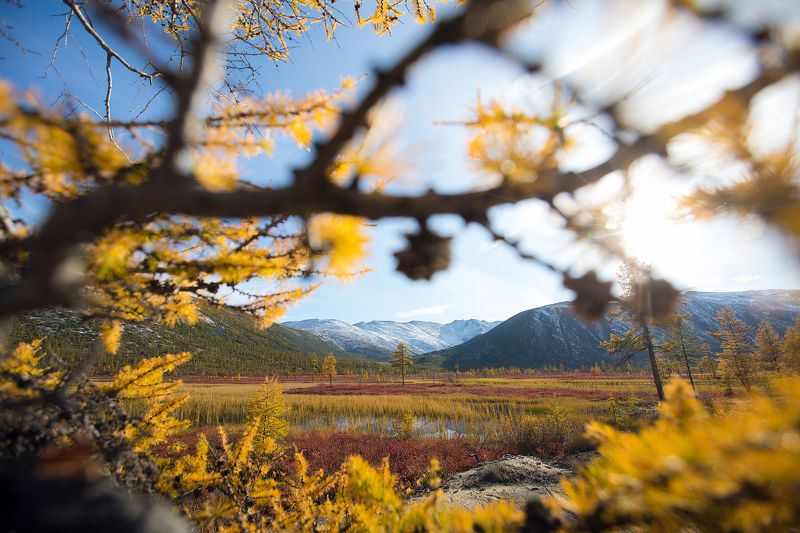 Колыма, озеро Джека Лондона, осень, горы, Магадан Время мыслей и желтых иголок фото превью