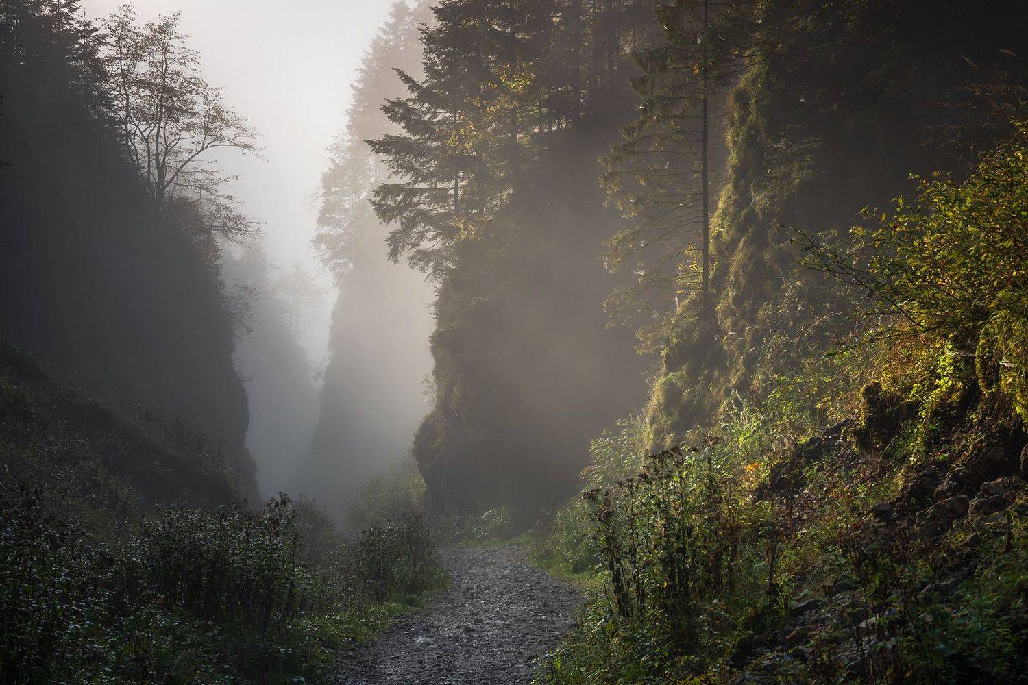 mountains, autumn, poland, Michał Kasperczyk