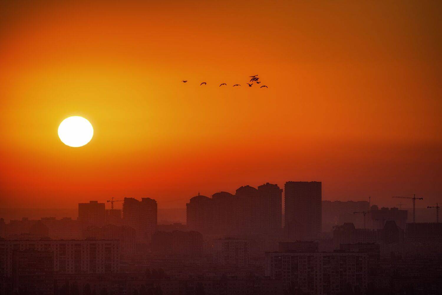 , Юрий Юрьев