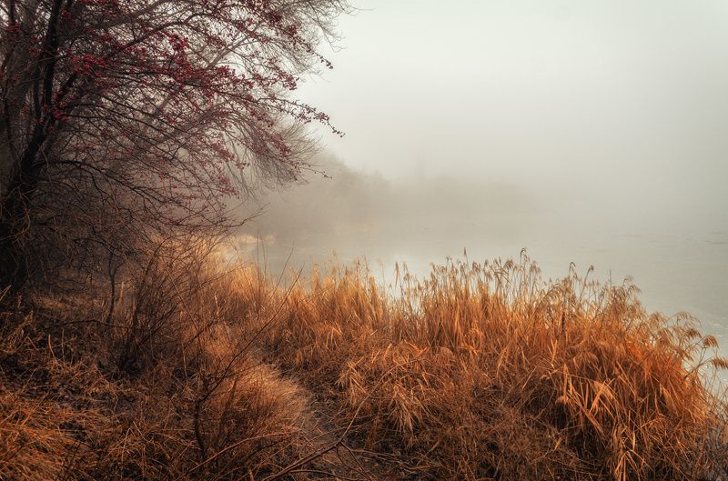 Туманной тропой фото превью