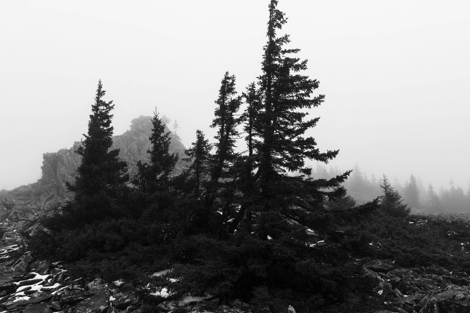 , Андрей Шарапов